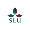 Sveriges Lantbruksuniversitet SLU